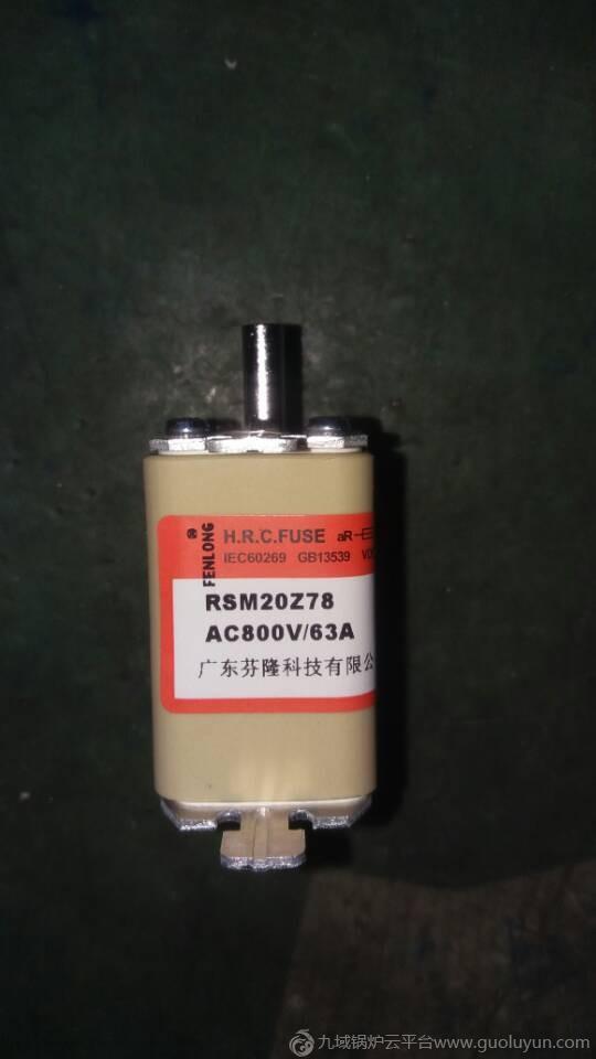 FENLONG品牌-RSM20Z78快速熔断器