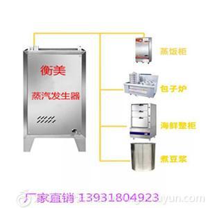 晋州市批发蒸汽发生器 蒸汽发生器型号