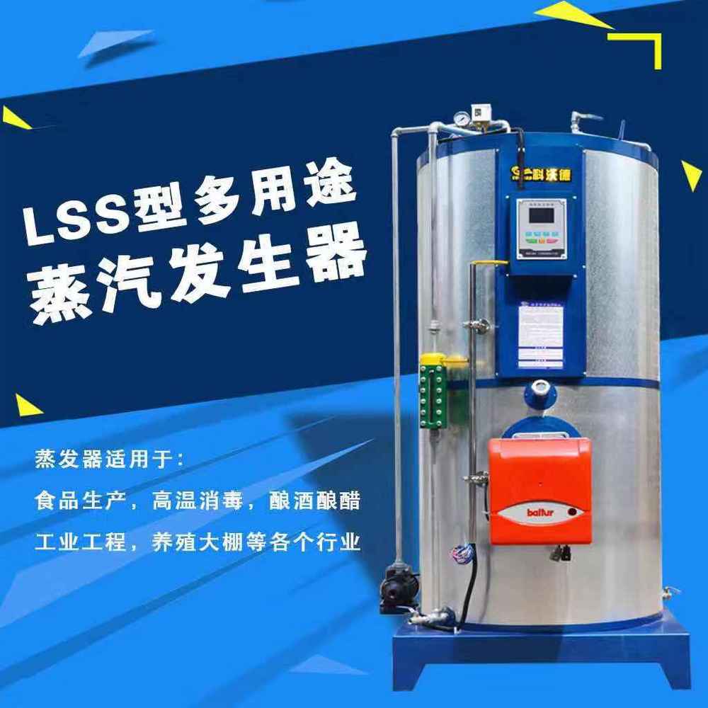 厂家直供燃气蒸汽发生器  LSS0.3型